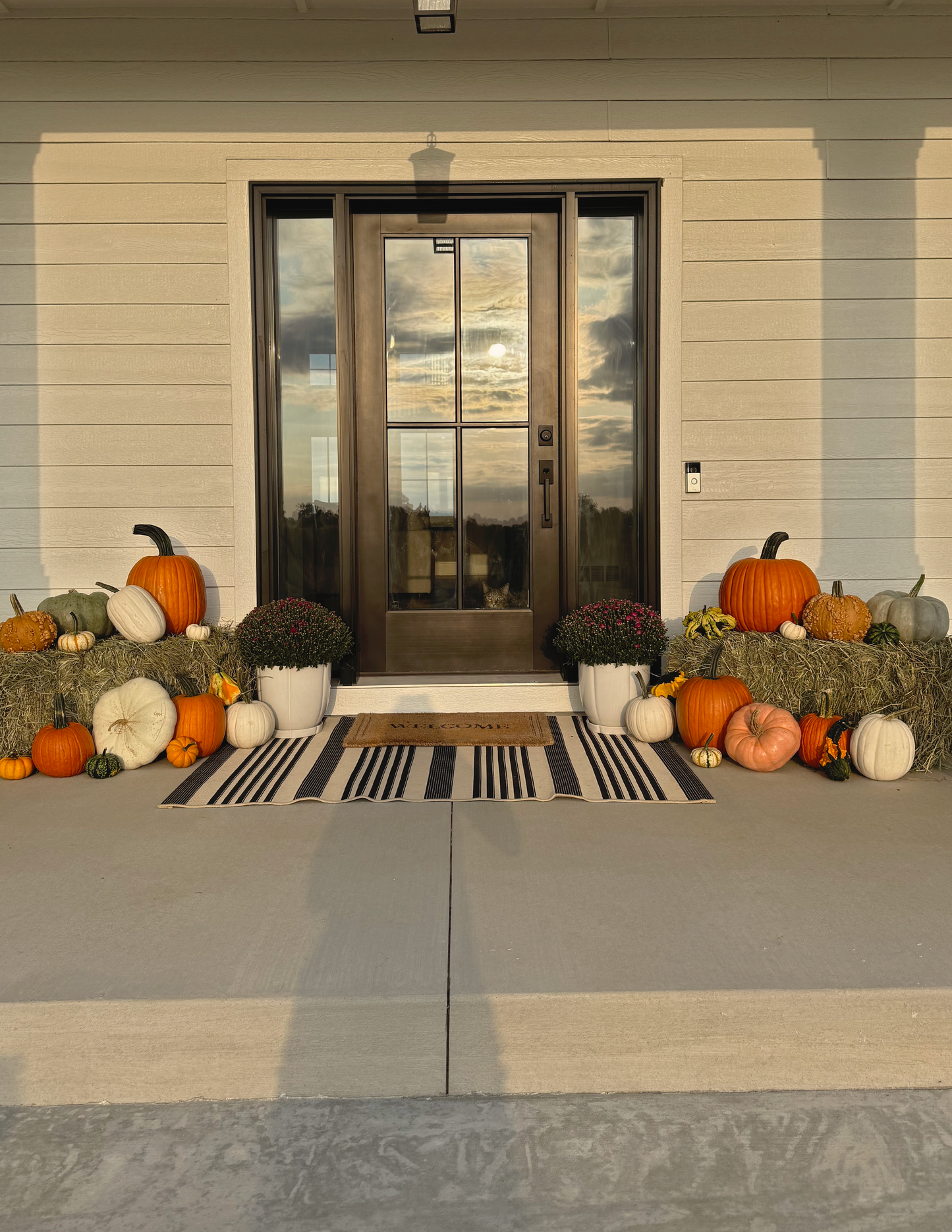 Petite Fall Package