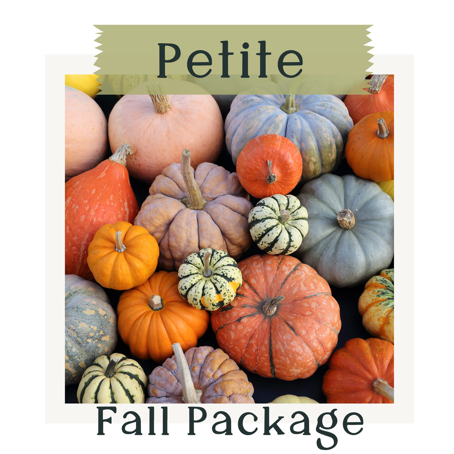 Petite Fall Package